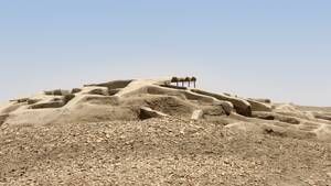 Zabol